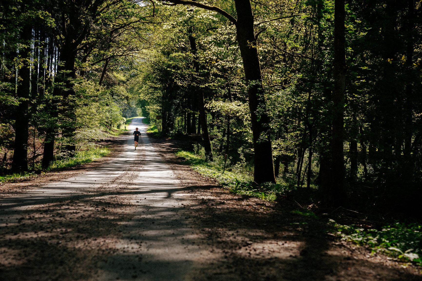 Fe226 online outlet shopping destination. Discover training and racing apparel, running, triathlon and cycling shorts, shirts and accessoires from your favorite sports brand for a good deal.